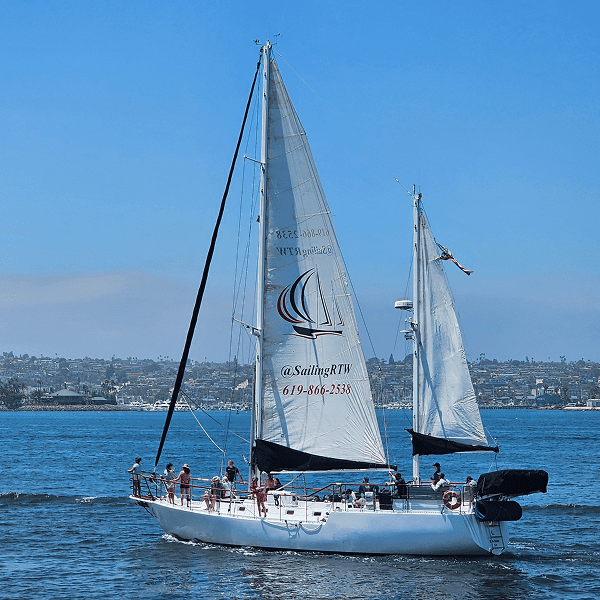 Two sailboats gliding on calm blue water under a clear sky.