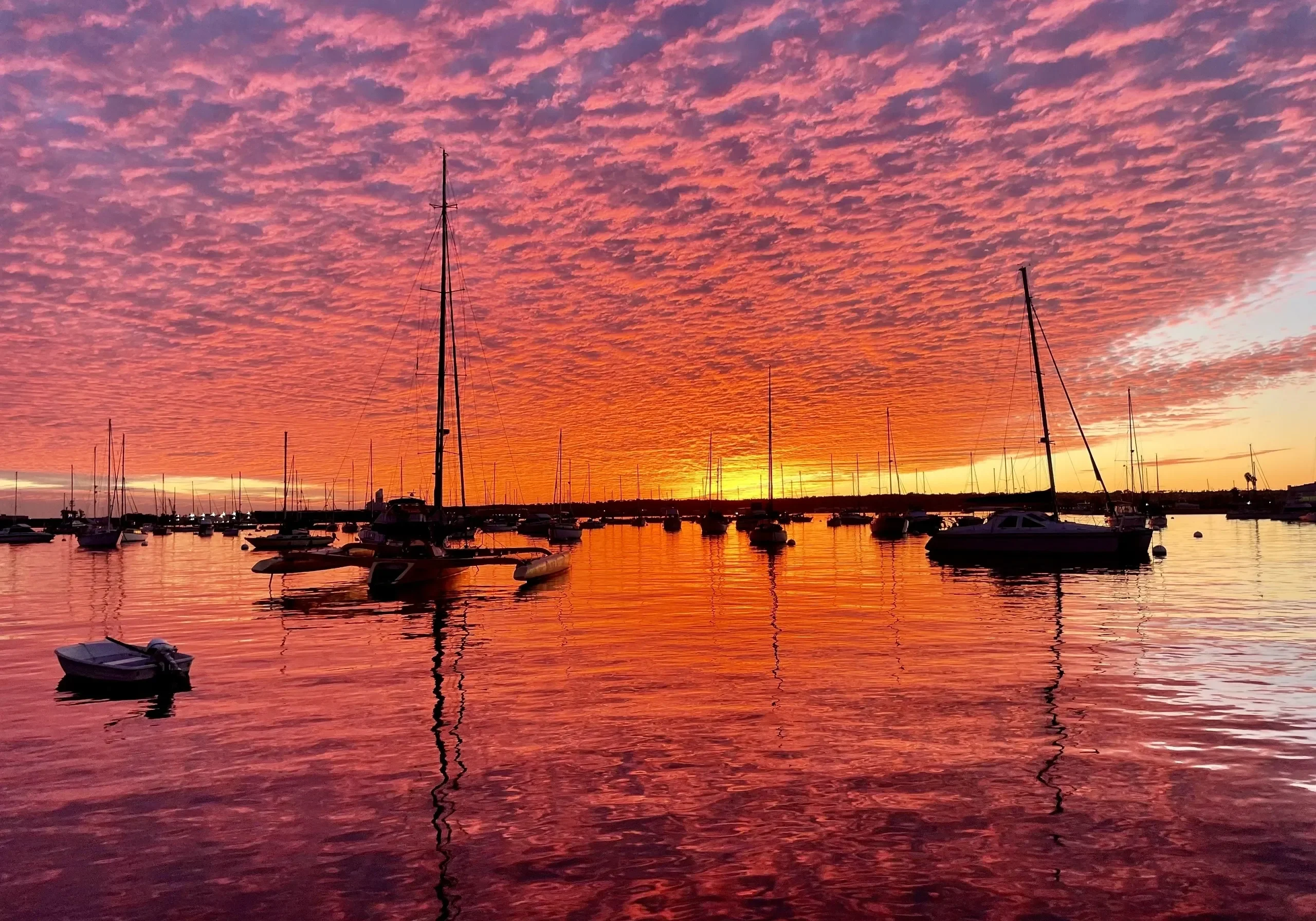 Sailboats silhouetted against vivid pink sunset